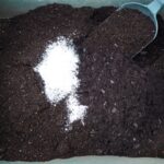 農業や園芸で使う石灰の種類と効果と使い方【消石灰・苦土石灰・牡蠣殻石灰】