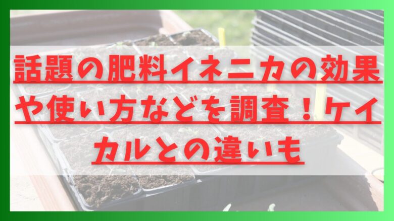 話題の肥料イネニカの効果や使い方などを調査！ケイカルとの違いも